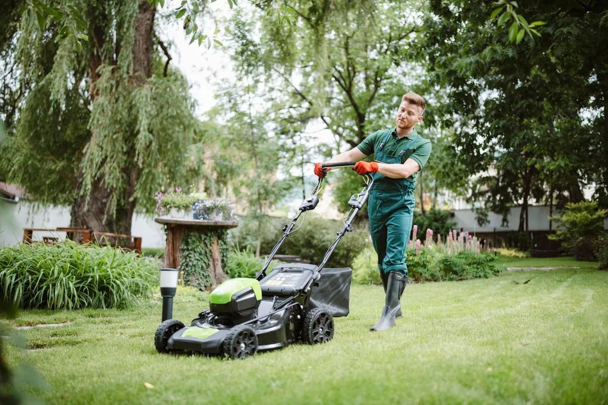 lawn care lakeville mn